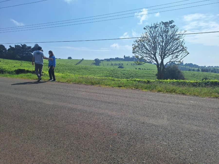 Nairobi: Tea Farm Day Trip with Lunch at kiambethu - A forest walk and waterfall stop