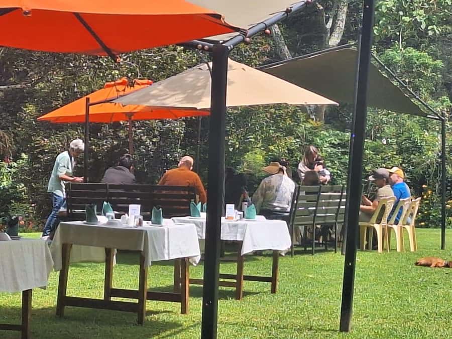 Nairobi: Tea Farm Day Trip with Lunch at kiambethu - Who will enjoy Kiambethu most