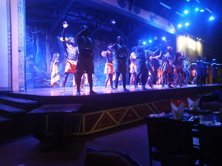 Nairobi: The Safari Cats Show Tickets & Buffet Dinner - Is $99 a fair price?