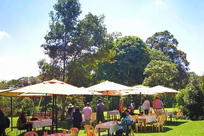 Nairobi to Kiambethu Tea Farm Tour - The Indigenous Forest Walk