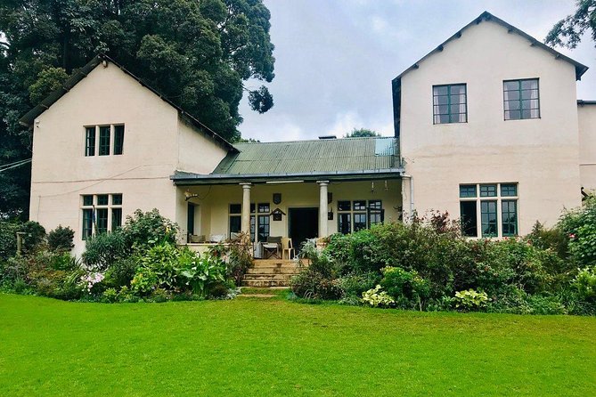 Nairobi to Kiambethu Tea Farm Tour - Group Size, Private Feel, and Guide Quality