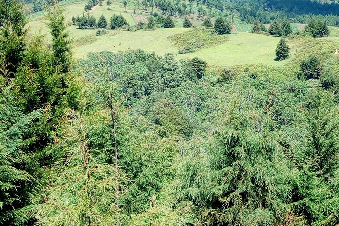 Nairobi Zip Lining Adventure Experience - Is this good for families and first-time zipliners?
