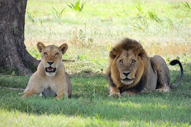 Olpejeta, Lake Naivasha, Masai Mara 5 Days Private Kenya Jeep tour - Walking at Crescent Island