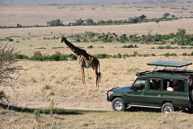 Olpejeta, Lake Naivasha, Masai Mara 5 Days Private Kenya Jeep tour - Meals, accommodation, and the $2,880 price