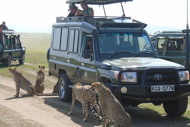 Olpejeta, Lake Naivasha, Masai Mara 5 Days Private Kenya Jeep tour - Chimpanzees and black rhinos at Ol Pejeta