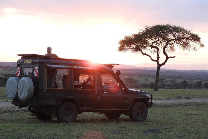 One Day Tour to Maasai Mara Game reserve from Nairobi - Who will enjoy this safari most