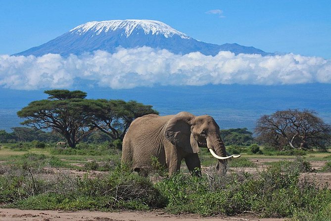 Overnight Amboseli National Park Safari from Nairobi - The 7 a.m. drive from Nairobi to Amboseli