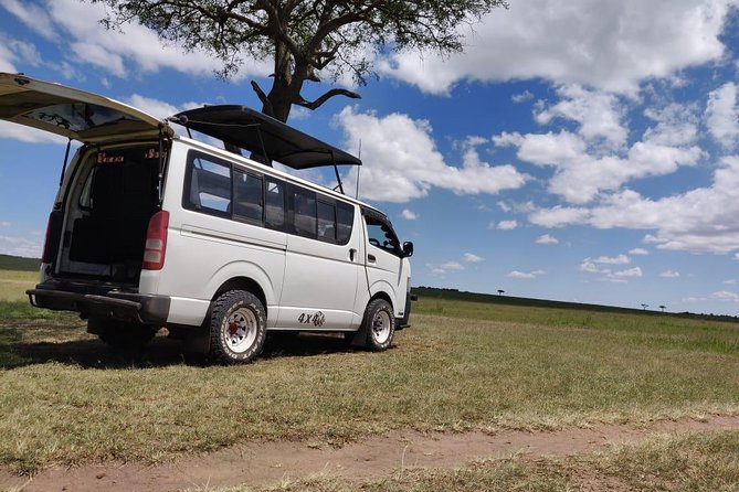 Overnight Amboseli National Park Safari from Nairobi - Who should book this Amboseli trip