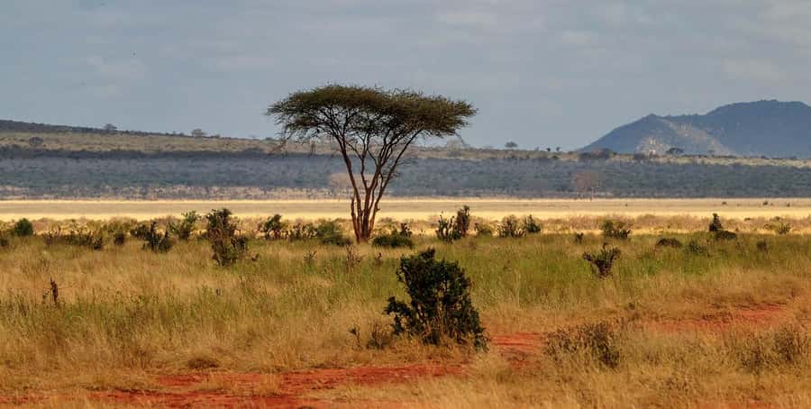 Overnight Tsavo East Safari From Mombasa/Diani (Private) - From Mombasa or Diani to Tsavo East
