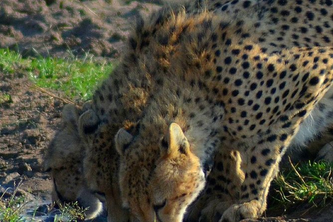 Private 3 Day Tsavo East Safari from Mombasa - Why three days in Tsavo East works well