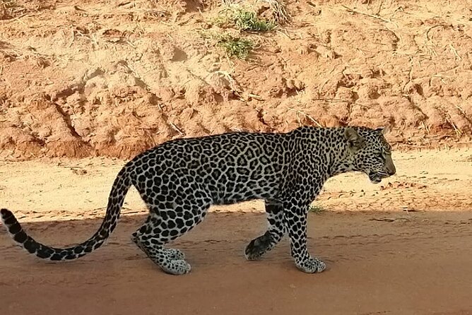Private 3 Day Tsavo East Safari from Mombasa - Voi Wildlife Lodge: useful comfort between drives