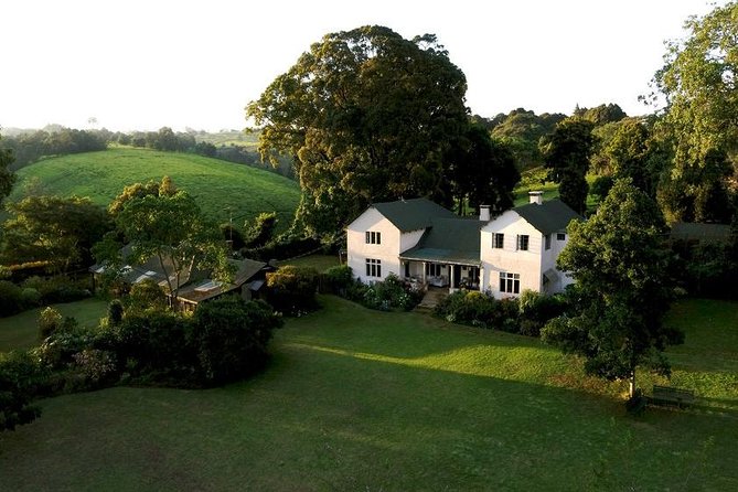 Private Day Trip to Kiambethu Tea Farm in Limuru from Nairobi - How the $141 price works out