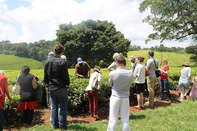 Private Day Trip to Kiambethu Tea Farm in Limuru from Nairobi - Tea at a farm founded in 1910