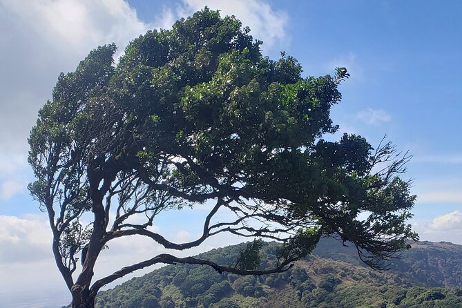 Private Half Day Hike to Ngong Hills from Nairobi - Seven hills above Nairobi