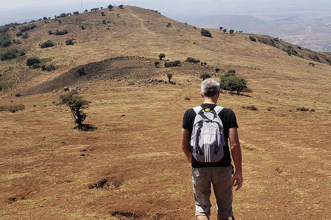 Private Half Day Hike to Ngong Hills from Nairobi - What the guide adds to a private walk