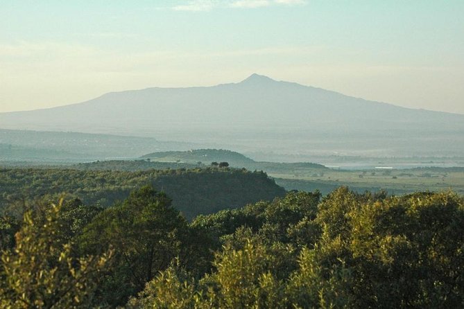 Private Hiking Day Trip to Mt. Longonot from Nairobi - Lake Naivasha by boat: hippos, eagles, and an optional extra