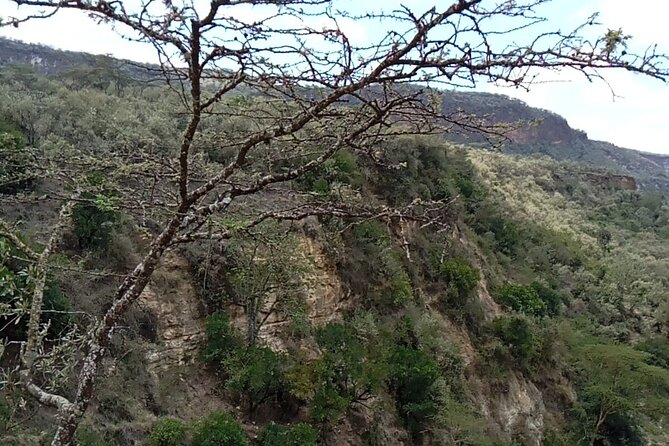 Private Hiking Day Trip to Mt. Longonot from Nairobi - Fitness, timing, and what to bring