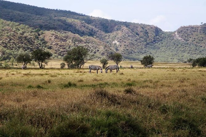 Private Hiking Day Trip to Mt. Longonot from Nairobi - Climbing Mt. Longonot through steep ravines
