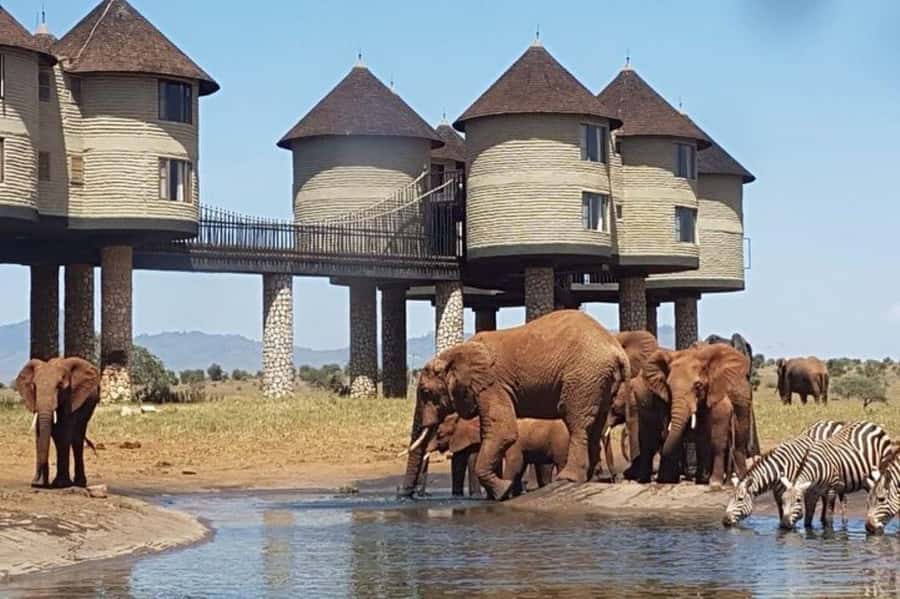 PRIVATE OVERNIGHT SALTLICK SAFARI FROM MOMBASA OR DIANI - Key points to know before booking