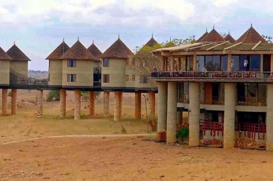PRIVATE OVERNIGHT SALTLICK SAFARI FROM MOMBASA OR DIANI - Why Salt Lick is the main event
