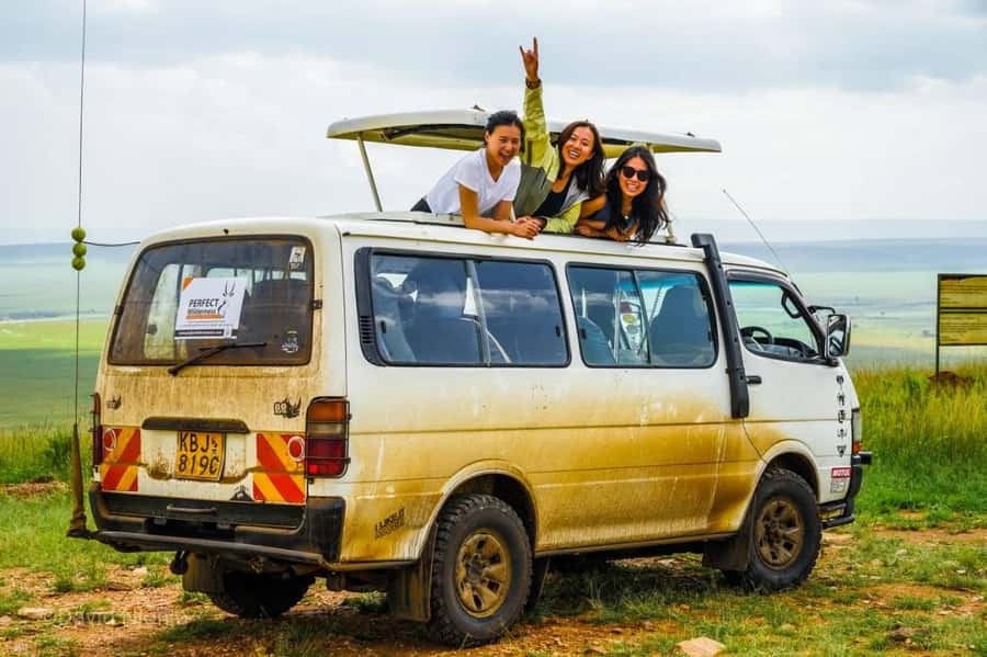 PRIVATE OVERNIGHT SALTLICK SAFARI FROM MOMBASA OR DIANI - How to get the best value from the two days