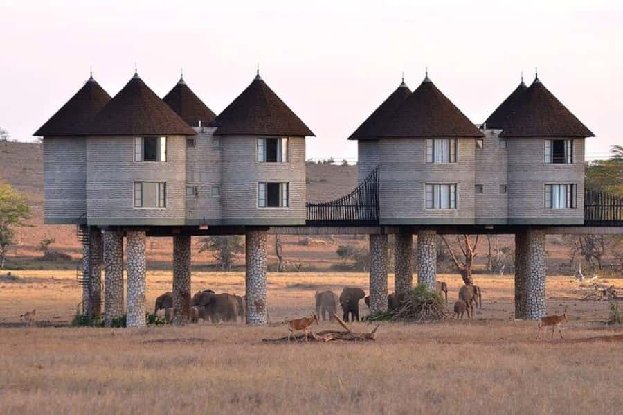 PRIVATE OVERNIGHT SALTLICK SAFARI FROM MOMBASA OR DIANI - Day 1: From the beach to Taita Hills