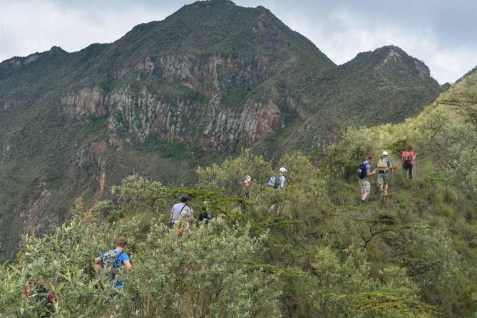 Private Tour to Mount Longonot and Optional Boat Ride on Lake Naivasha - The optional Lake Naivasha boat ride