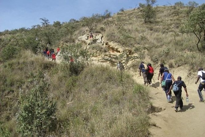 Private Tour to Mount Longonot and Optional Boat Ride on Lake Naivasha - What the $125 price really covers