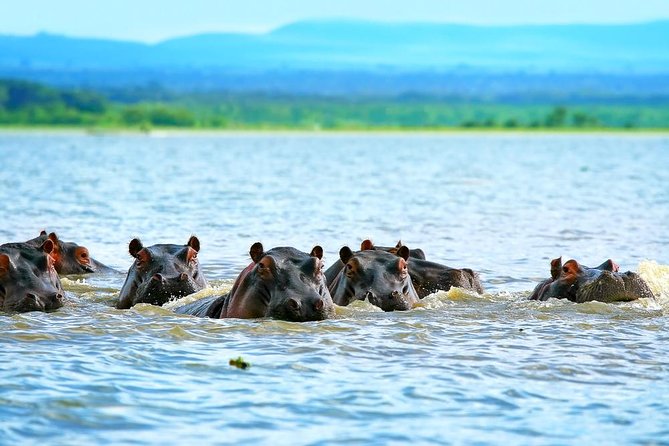 Private Tour to Mount Longonot and Optional Boat Ride on Lake Naivasha - The 6 a.m. road from Nairobi to the Rift Valley