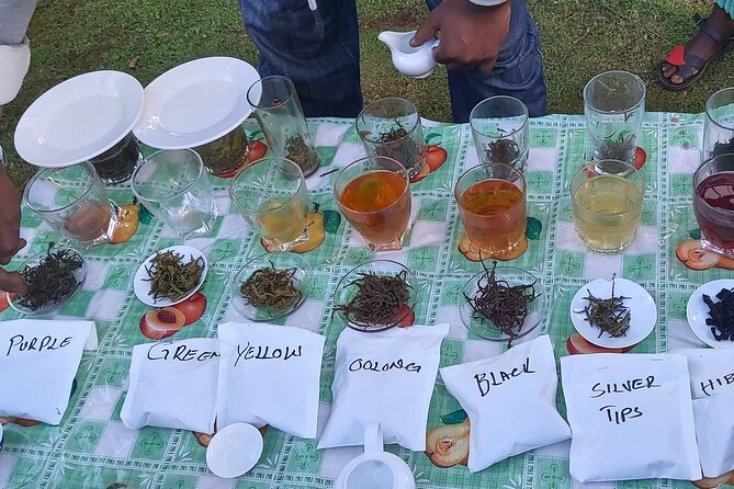 Purple Tea Farm Tour from Nairobi City - Specialty Tea Tasting - Seeing traditional orthodox tea processing