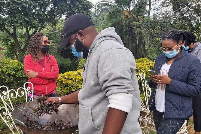 Purple Tea Farm Tour from Nairobi City - Specialty Tea Tasting - Tasting eight types of Kenyan tea