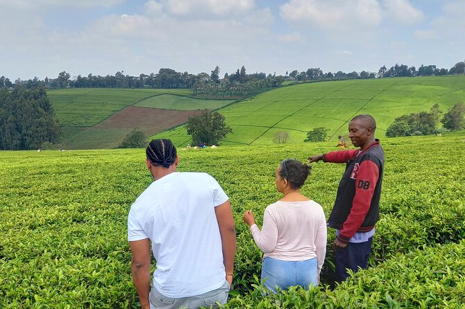 Riara tea farm tour with lunch and tea tasting from Nairobi - Key points to know before booking