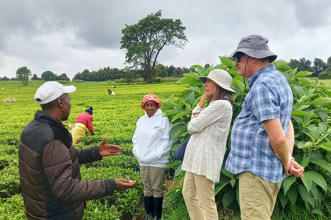 Riara tea farm tour with lunch and tea tasting from Nairobi - From Nairobi streets to Limuru tea country
