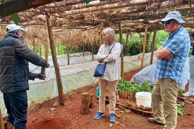 Riara tea farm tour with lunch and tea tasting from Nairobi - What the tea lesson adds