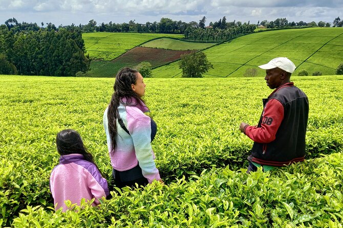 Riara tea farm tour with lunch and tea tasting from Nairobi - Barbecue lunch after the farm walk