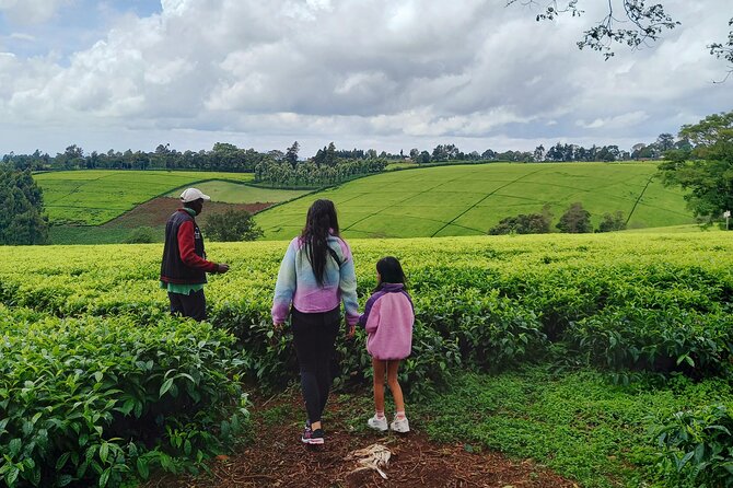 Riara tea farm tour with lunch and tea tasting from Nairobi - Who will enjoy this farm visit most