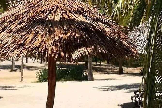 ROBINSON ISLAND/MARAFA HELL's KITCHEN - Transport, timing, and the shape of the day