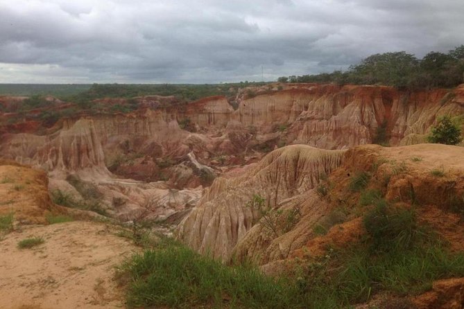 ROBINSON ISLAND/MARAFA HELL's KITCHEN - Who will get the most from this tour