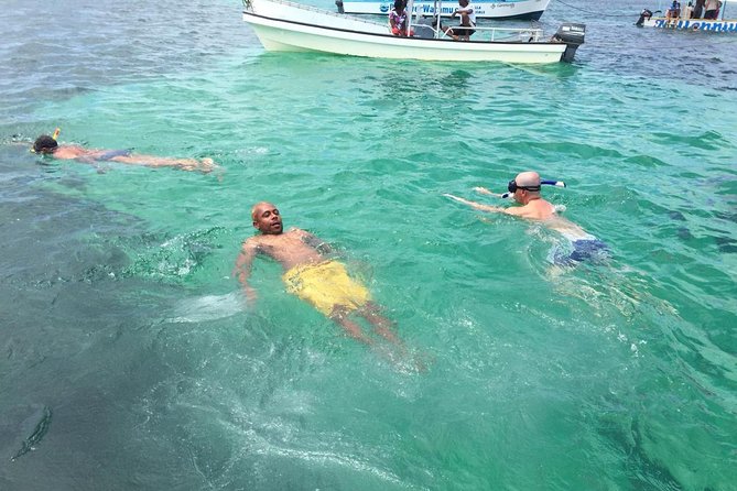 Safari blue - Swimming and snorkeling in open sea water