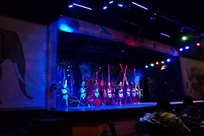 Safari Cat Dancers Show And Dinner - What the return journey is like