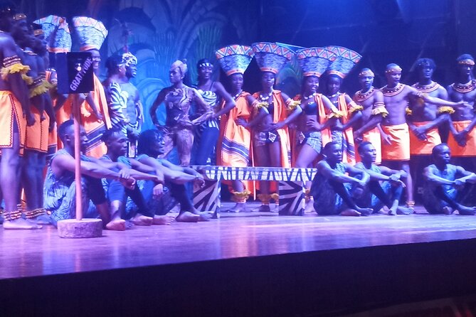 Safari Cat Dancers Show And Dinner - Price, group size, and practical value