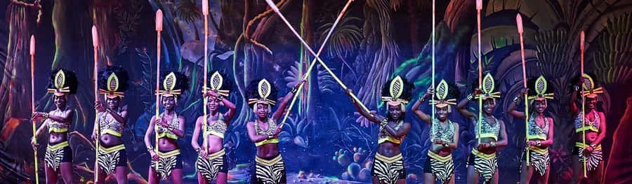 Safari Park Hotel Show & Dinner Experience In Nairobi Tour - Four dance themes give the show its shape