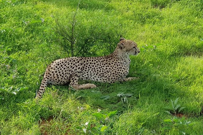 Safari-Tsavo east national park -2 days 1 night - The early road to Sala Gate