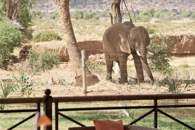Samburu/ Aberdare/ Lake Nakuru/ Masai Mara 7 Days Safari - Day 4: Thompson’s Falls and Lake Nakuru