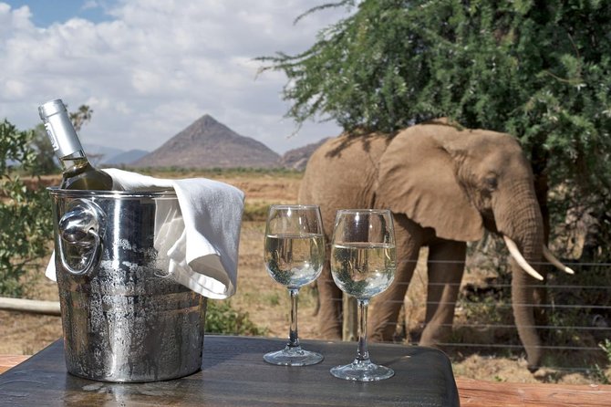 Samburu/ Aberdare/ Lake Nakuru/ Masai Mara 7 Days Safari - Day 6: A full day in Maasai Mara