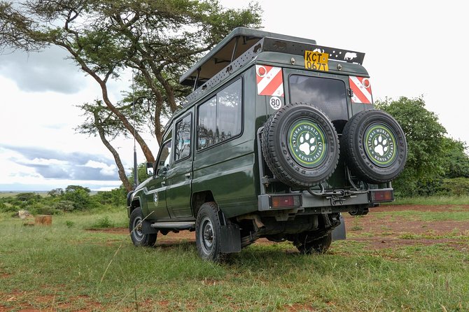 Samburu, Lake Nakuru & Masai Mara 6 Days Private 4x4 Jeep Safari - Day 4: From Lake Nakuru to the Maasai Mara