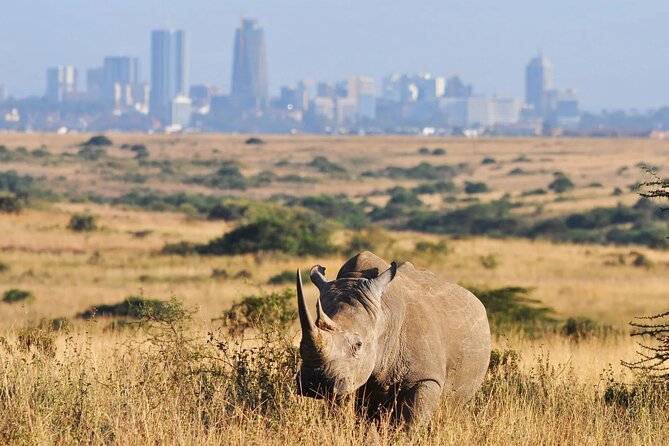 Shared Nairobi National Park Safari Tour - Key points to know before booking