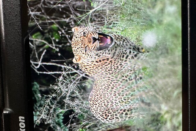 Shared Nairobi National Park Safari Tour - What the $80 price really covers