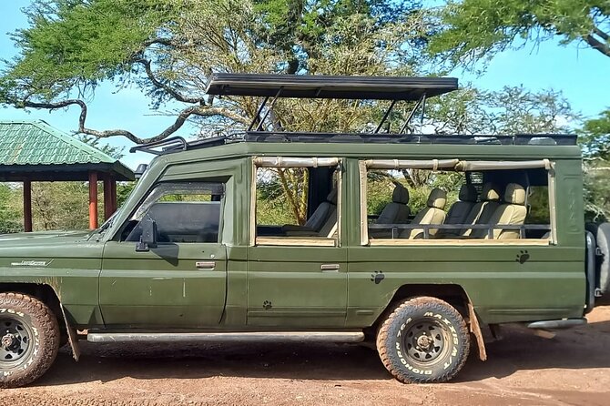 Shared Nairobi National Park Safari Tour - Who will get the most from this outing