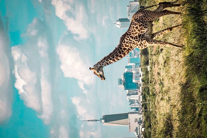 Shared Nairobi National Park Safari Tour - Booking timing, confirmation, and cancellation